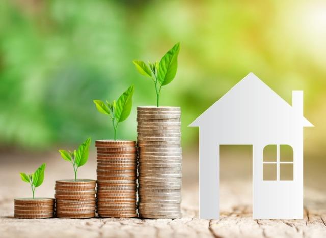 Investment Opportunities